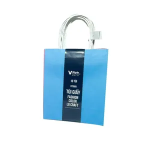 Túi giấy nhiều màu VST5 20*25*11cm, lốc 10 cái